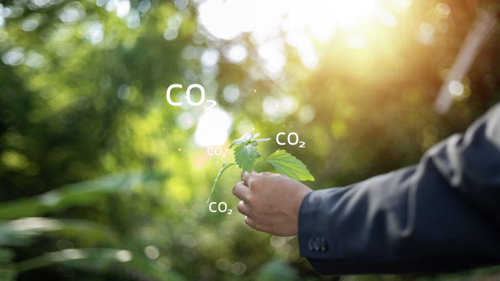 businessman hand is holding leaf word co2 is written it
