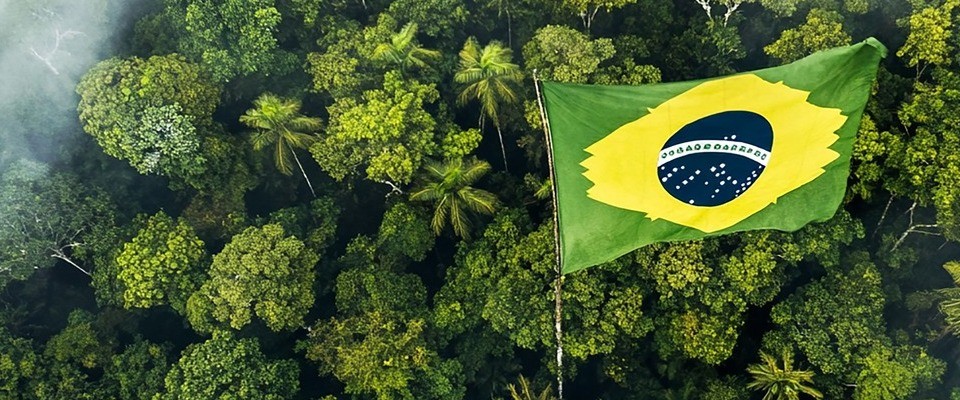 brazilian-flag-flies-amazon-rainforest (1) brazilian flag flies amazon rainforest (1)