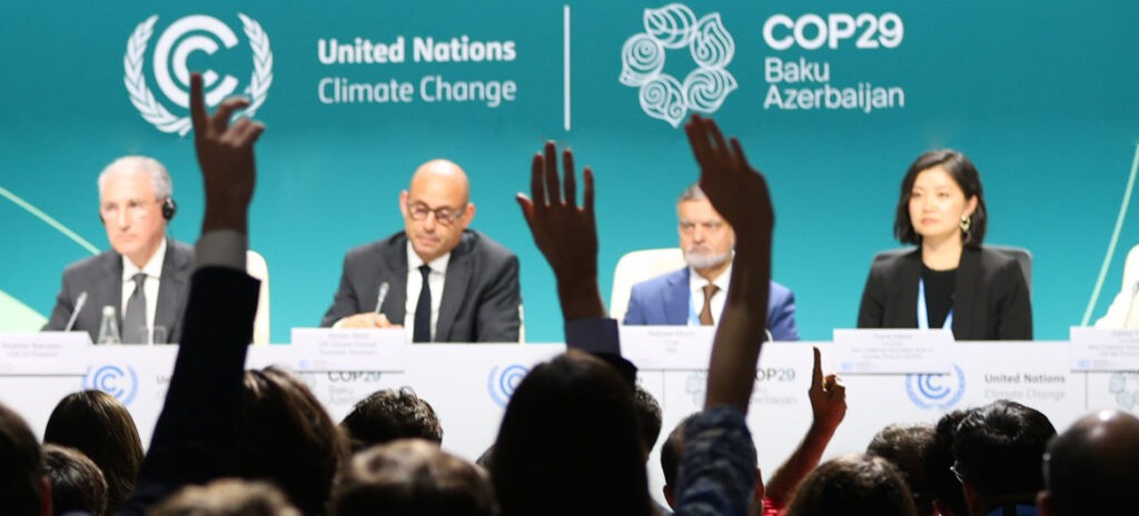 COP29