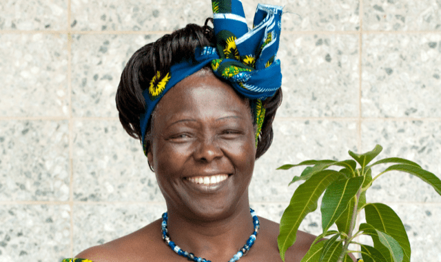 0144781_wangari-maathai 0144781 wangari maathai