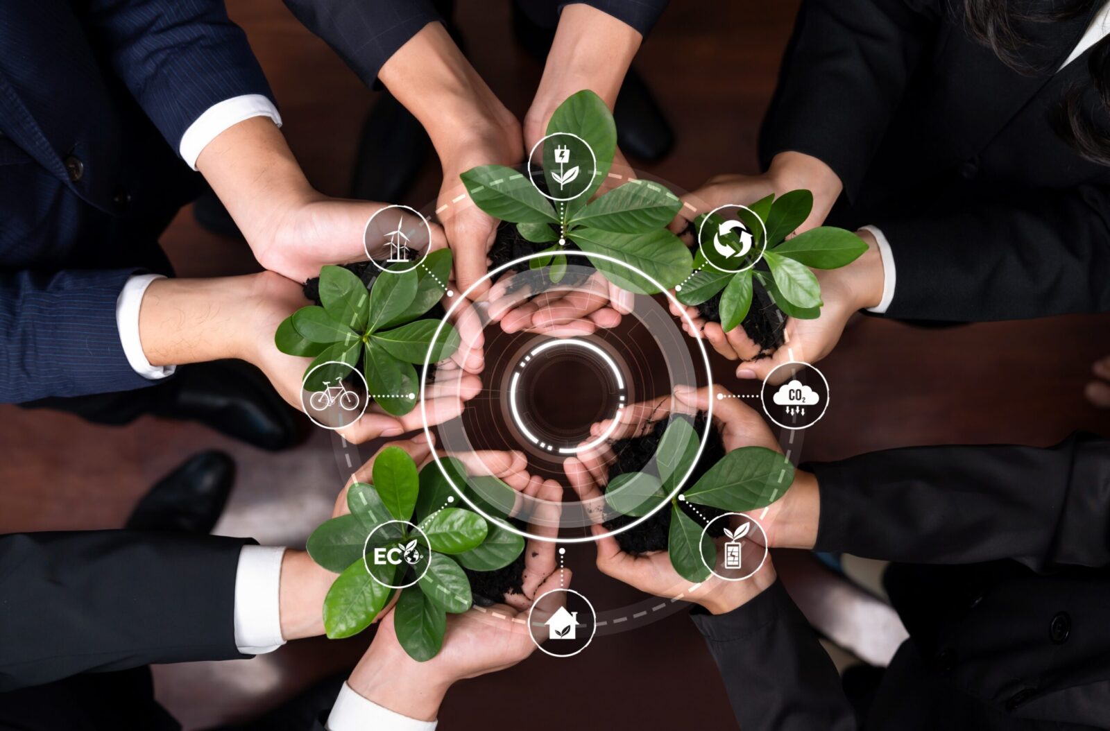Sustentabilidade nos negocios 