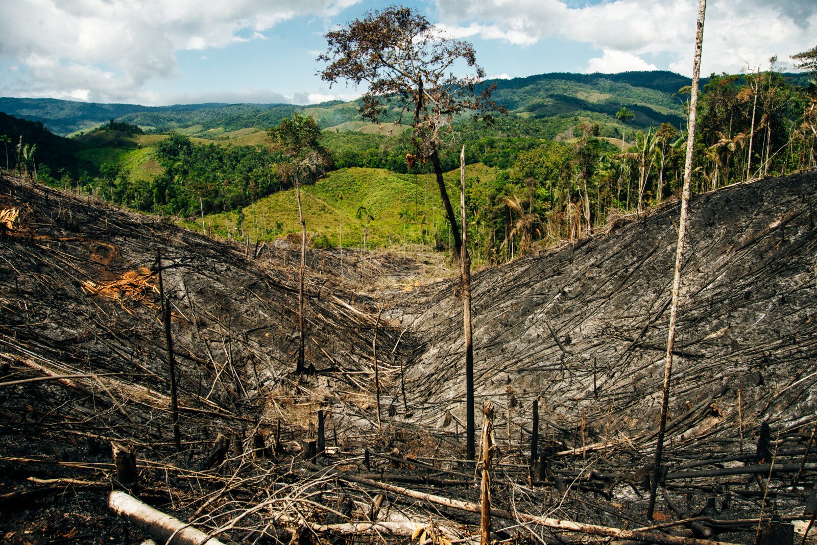 limites planetários limites planetários