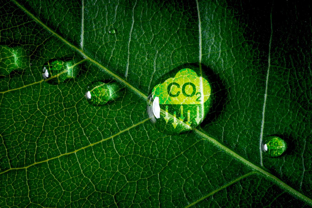 Ícone de redução de CO₂ representando a diminuição da pegada de carbono e o compromisso com a sustentabilidade ambiental.