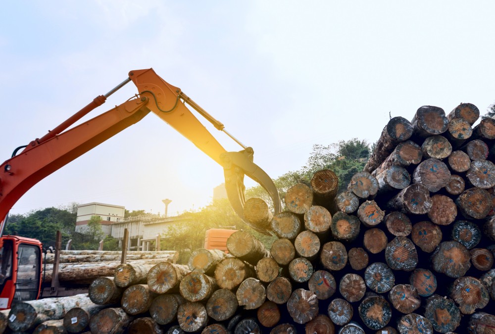 Interior de fábrica de processamento de madeira para produção de biomassa, ilustrando o uso sustentável de resíduos na geração de energia conforme o Programa Renovabio e CBIOs.