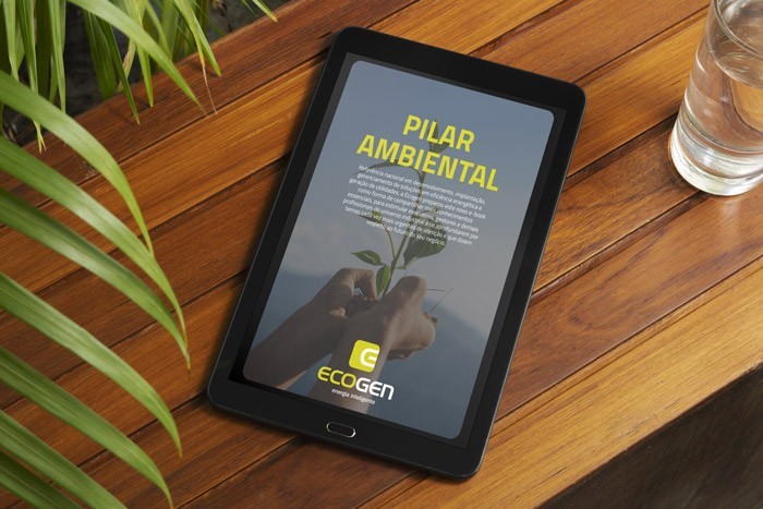 pilar ambiental.jpg