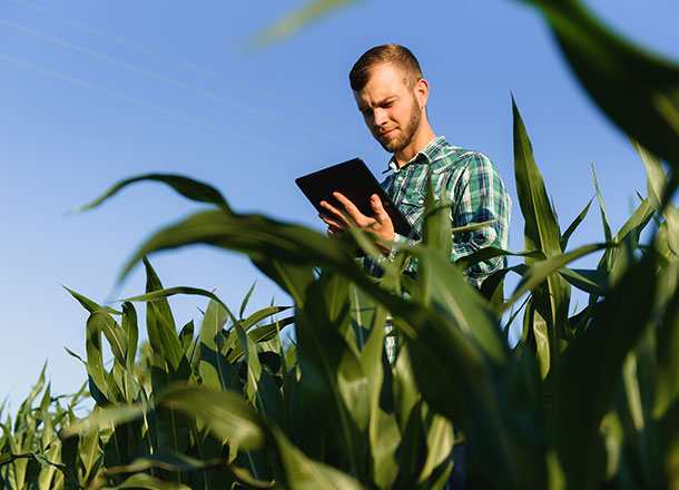 img agro.jpg