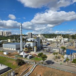 Ecogen lança projeto de Biomassa e acelera a transição energética - whatsapp image 2026 07 15 at 17.01.54