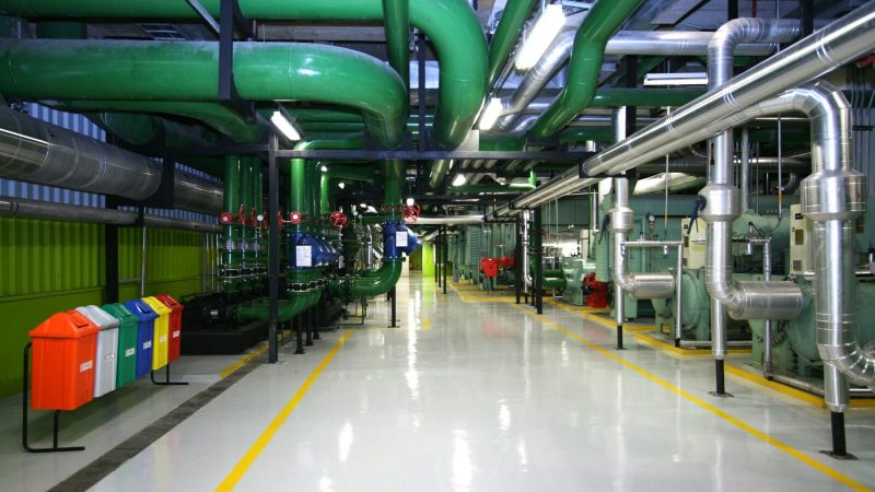 IMG 5062.jpg